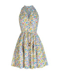 Charlotte Dress In Wildflower Fields