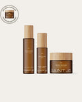 The Anti Aging Ritual